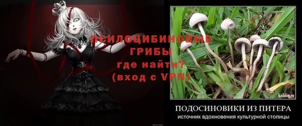 скорость Заволжск