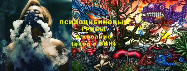прущая мука Ельня